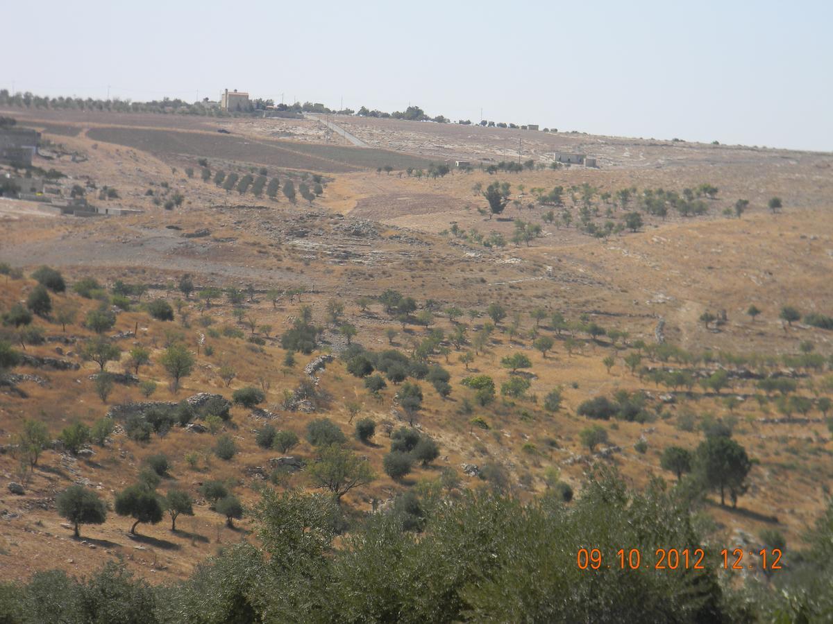 Town Of Mount Nebo Villa Madaba Esterno foto