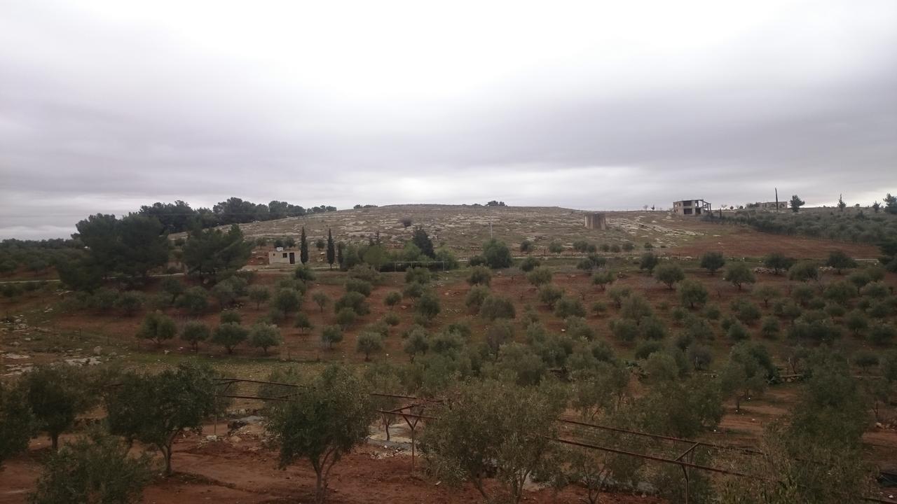 Town Of Mount Nebo Villa Madaba Esterno foto